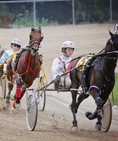 Fayette County Free Fair