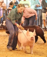 Fountain County 4-H Fair