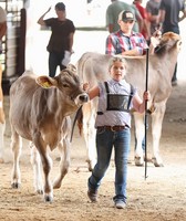 Fountain County 4-H Fair