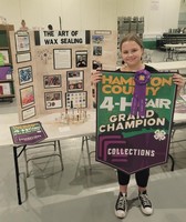 Hamilton County 4-H Fair