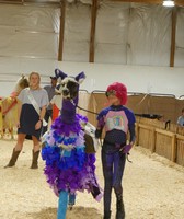 Hamilton County 4-H Fair