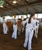 Hamilton County 4-H Fair