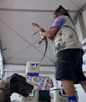 Hancock County Fair