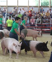 Hancock County Fair