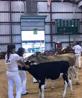 Hendricks County 4-H Fair