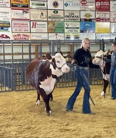 Howard County 4-H Fair