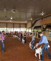 Jackson County Fair