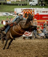 Lake County Fair