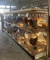 Lawrence County 4-H Fair