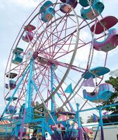 Madison County 4H Fair