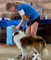 Madison County 4H Fair