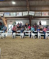 Madison County 4H Fair