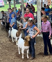 Martin County 4-H Fair