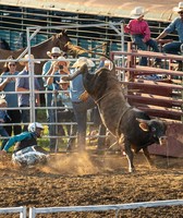 Martin County 4-H Fair