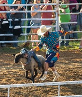 Martin County 4-H Fair