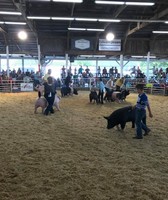 Monroe County Fair