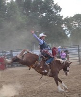 Morgan County Fair