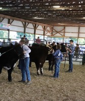 Ohio County 4-H Fair