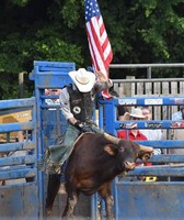 Owen County Fair