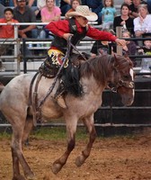 Owen County Fair