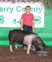 Perry County 4-H Fair