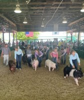 Randolph County 4-H Fair