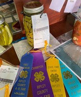 Ripley County 4-H Fair