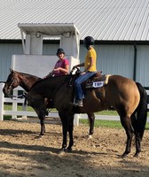 Ripley County 4-H Fair