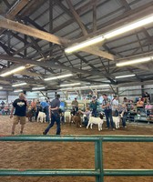 Ripley County 4-H Fair