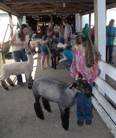 St. Joseph County 4-H Fair