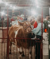 Starke County 4-H Fair