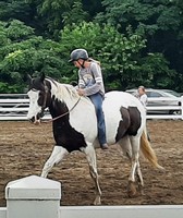 Starke County 4-H Fair