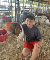 Vigo County Fair