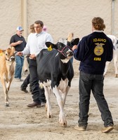 Western Idaho Fair