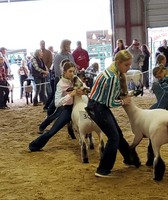 Shawano County Fair