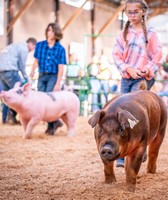 Sheboygan County Fair