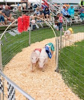 Sheboygan County Fair