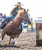 Alamosa Round-UP