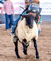 Alamosa Round-UP