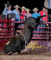 Alamosa Round-UP