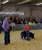 Walworth County Fair