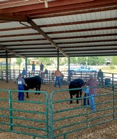 Ouray County Fair