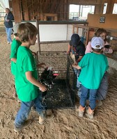 Ouray County Fair