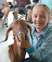 Delaware State Fair