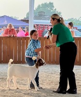 Bourbon County Fair