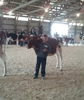 Crawford County Fair