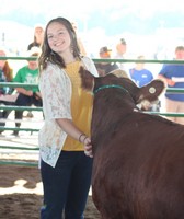 Chisago County Fair