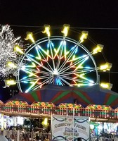 Manitowoc County Fair