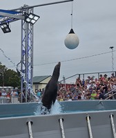 Manitowoc County Fair