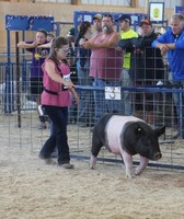 Manitowoc County Fair